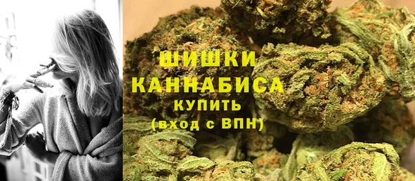 гашик Алзамай