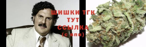 гашик Алзамай