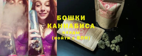 бошки Алексин