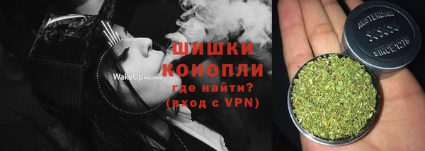 бошки Алексин