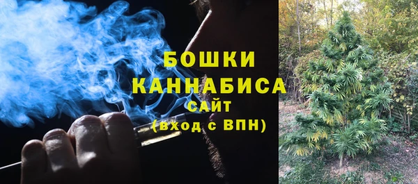 бошки Алексин